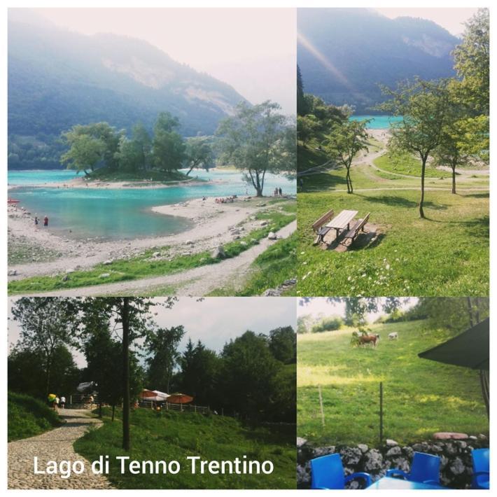 Agritur Tenno Cantina Bio Natura Ngoại thất bức ảnh